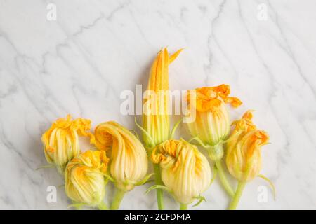 Draufsicht auf frische gelbe Zucchiniblüten, auf denen Blumen angeordnet sind Weißer Marmortisch in der Küche Stockfoto