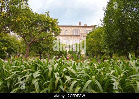 Das Renoir Museum auf dem Anwesen in Les Collettes. Im Garten unter den Zitrusfrüchten steht Richard Guinos Skulptur, die Venus victrix. Stockfoto