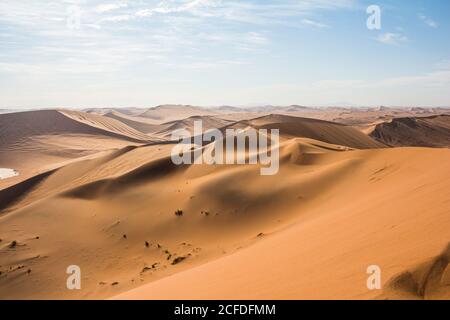 Blick über die Dünenlandschaft von Sossusvlei vom Gipfel der Big Daddy Dune, Sossusvlei, Sesriem, Namibia Stockfoto