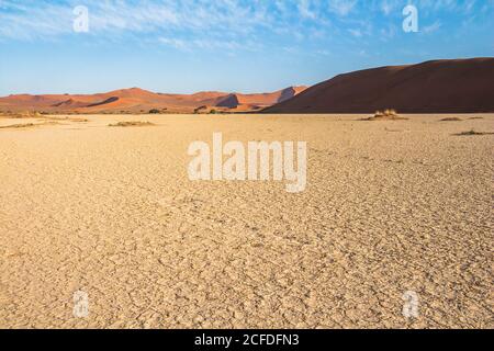 Pfad zur Big Daddy Dune bei Sossusvlei im Morgenlicht, Sesriem, Namibia Stockfoto