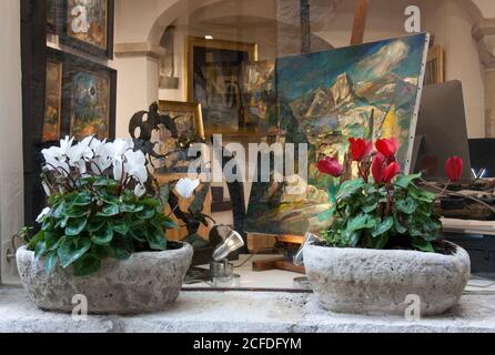 Saint-Paul-de-Vence Arches, Berge, Cyclamen. Weiße und rote Cyclamen im Schaufenster des Kunstshops. Hinter den Glasarbeiten zeitgenössischer Künstler. Stockfoto