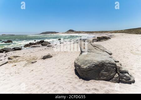 Strand im West Coast National Park, Western Cape, Südafrika Stockfoto