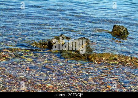 Steine am Ufer des Roten Meeres Hintergrundstruktur. Eilat, Israel September 2018. Stockfoto