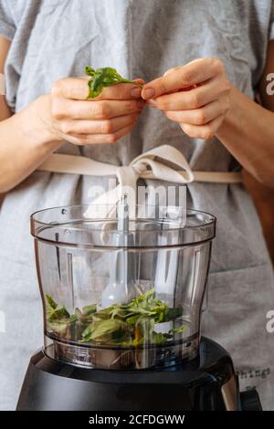 Anonyme Frau in der Schürze, die frische Spinatblätter in den Mixer gibt Bei der Zubereitung gesunder veganer Gerichte zu Hause Stockfoto