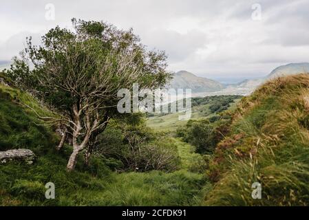 Blick auf den Upper Lake von Ladies' View, Killarney National Park, Irland Stockfoto