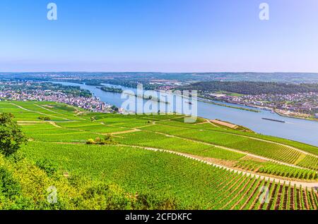 Luftpanorama der Rheinschlucht oder Obermittelrheintal Weinbauregion mit Weinbergen Grünflächen, Rüdesheim am Rhein Stadt, blauer Himmel, Rheinland-Pfalz, Hessen, Deutschland Stockfoto