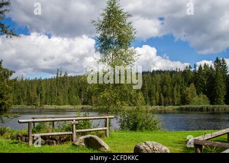 Stierhüblteich, See bei Karlstift - Wandern rund um Karlstift, Waldviertel, Österreich Stockfoto