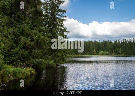 Stierhüblteich, See bei Karlstift - Wandern rund um Karlstift, Waldviertel, Österreich Stockfoto