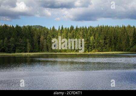 Stierhüblteich, See bei Karlstift - Wandern rund um Karlstift, Waldviertel, Österreich Stockfoto