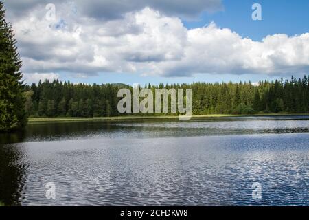 Stierhüblteich, See bei Karlstift - Wandern rund um Karlstift, Waldviertel, Österreich Stockfoto