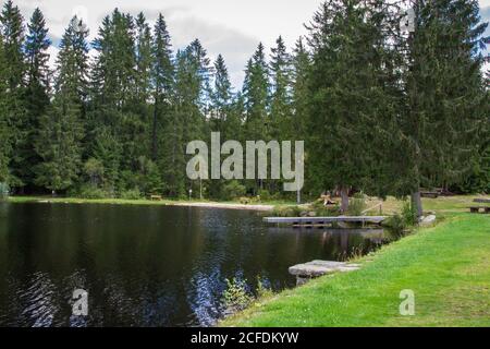 Stierhüblteich, See bei Karlstift - Wandern rund um Karlstift, Waldviertel, Österreich Stockfoto