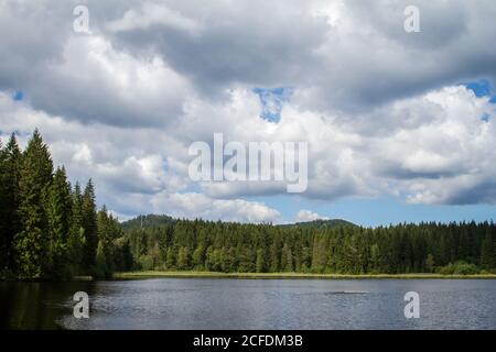 Stierhüblteich, See bei Karlstift - Wandern rund um Karlstift, Waldviertel, Österreich Stockfoto