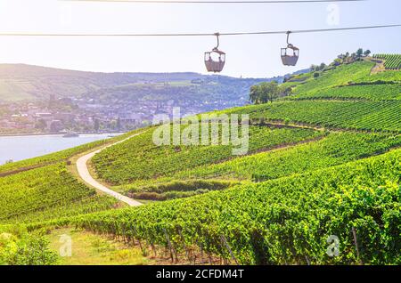 Seilbahn auf Seilbahnseilbahn von Rüdesheim am Rhein Stadt nach Roseneck Berg über Weinbergen Felder des Rheintals Hügel, blauer klarer Himmel Hintergrund in sonnigen Sommertag, Land Hessen, Deutschland Stockfoto