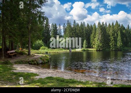 Stierhüblteich, See bei Karlstift - Wandern rund um Karlstift, Waldviertel, Österreich Stockfoto