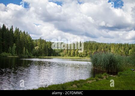 Stierhüblteich, See bei Karlstift - Wandern rund um Karlstift, Waldviertel, Österreich Stockfoto