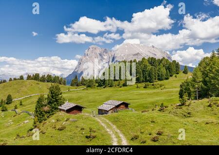 Hütte, Seiser Alm, Südtirol, Italien / Alpe di Siusi, Alto Adige, Italia Stockfoto