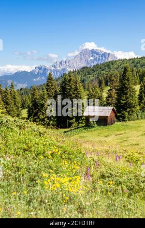 Einsame Hütte in den Wiesen und Wäldern des Monte Cherz, im Hintergrund die Civetta Nordwestwand, Livinallongo del Col di Lana, Belluno, Stockfoto