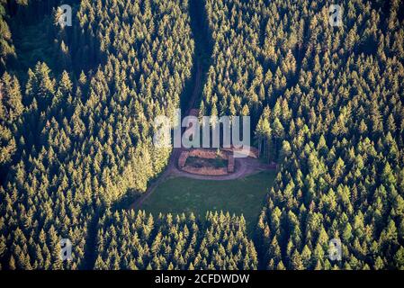 Deutschland, Sachsen-Anhalt, Harz, gestapelte Baumstämme im Wald. Die Wetterbedingungen und der Rindenkäfer haben viele Nadelbäume betroffen. Stockfoto