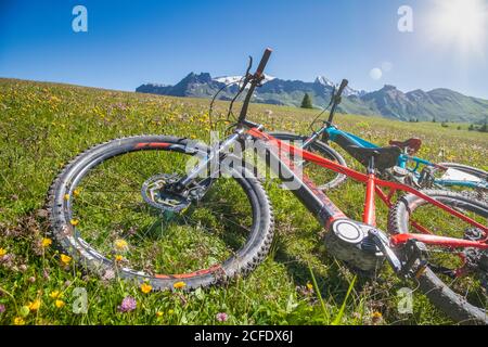 Zwei E-Bikes (Tretfahrräder) ruhen auf dem Rasen auf den Weiden von pralongià alta badia, corvara, dolomiten, bozen, Südtirol, italien Stockfoto