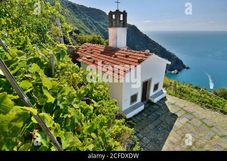 Cappella degli Angeli Custodi. Fossola. Nationalpark Cinque Terre. Provinz La Spezia. Ligurien. Italien Stockfoto