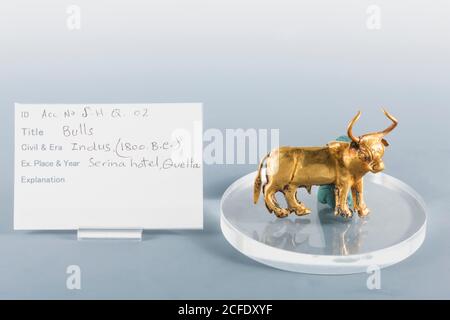 Gold Bull Statue, aus Quetta, Indus Valley Zivilisation (Wertsachen Gewölbe), National Museum of Pakistan, Karachi, Sindh, Pakistan, Südasien, Asien Stockfoto