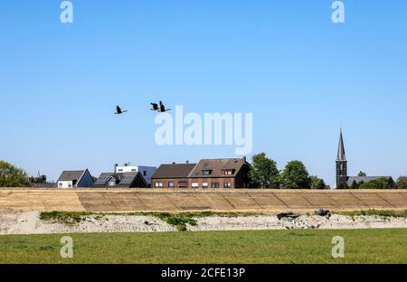 Staudamm über dem Hochwasserkanal vor Wohngebäuden, neue Kanalisation Emscher, Emscher Umbau, Ruhrgebiet, Oberhausen, Nord Stockfoto