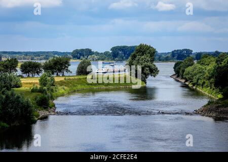 Wesel, Niederrhein, Nordrhein-Westfalen, Deutschland - Lippe, renaturiertes Auengebiet an der Lippemündung im Rhein, ein Frachtschiff auf dem Rhein Stockfoto