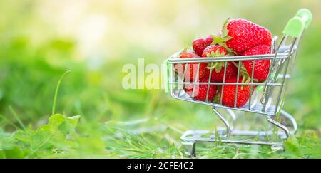 Cart mit Supermarkt mit Erdbeeren auf dem grünen Gras. Banner schöne Sommer Beeren. Stockfoto