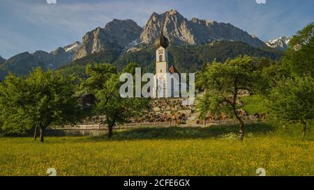 Pfarrkirche St. Johannes der Täufer in Grainau im Frühjahr, Blick Richtung Waxensteine im Wettersteingebirge, grüne Wiese, Blumen, Bäume, blau Stockfoto