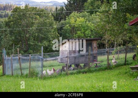 Hühnerstall - Wandern rund um Karlstift, Waldviertel, Österreich Stockfoto