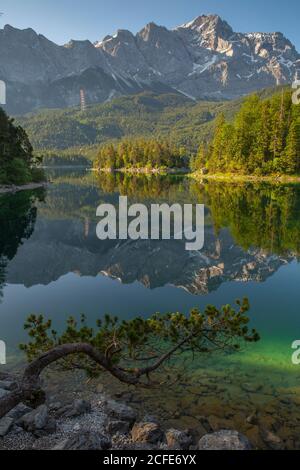 Blick über die Sasseninsel (Sassenbüchel, Roseninsel) auf den Eibsee zur Zugspitze bei Sonnenaufgang, blauer Himmel, türkisfarbenes (grünes) Wasser, Spiegelung, Bäume, Stockfoto