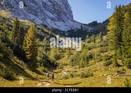 Junge Mann und junge Frau wandern auf Waldweg oberhalb der Wettersteinalm Richtung Schachen, blauer Himmel, Bäume, Garmisch-Partenkirchen, Oberbayern, Stockfoto