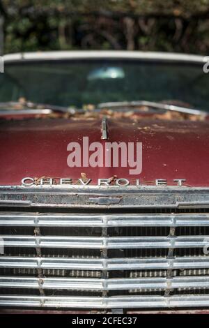 Wrack eines alten Chevrolet, Detail. Stockfoto