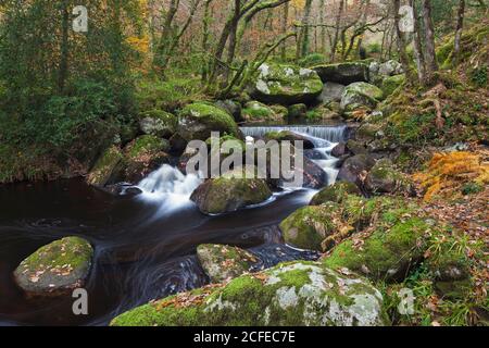 Der Fluss Ellez landeinwärts in der Bretagne im Herbst. Stockfoto