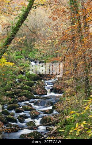 Der Fluss Ellez landeinwärts in der Bretagne im Herbst. Stockfoto