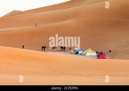 Lager in der Wüste Sahara, Marokko Stockfoto