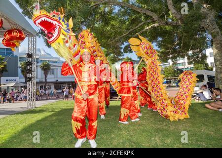 Chinesische Neujahrsdrachentänzer in einem Park, die einen leuchtend gelben und roten Drachen auf Stangen tragen. Hamilton, Neuseeland, 16/2019 Stockfoto