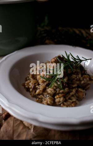 Teller mit köstlichem Reisrisotto mit Kaninchenfleisch und Pilzen Dekoriert mit frischem Rosmarinzweig in der Küche Stockfoto