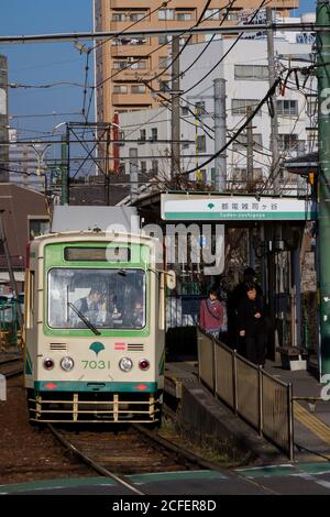 Eine Straßenbahn oder ein Straßenauto auf der Toden Arakawa-Linie, bekannt als die Tokyo Sakura-Straßenbahn. Zoshigaya, Tokio, Japan. Stockfoto