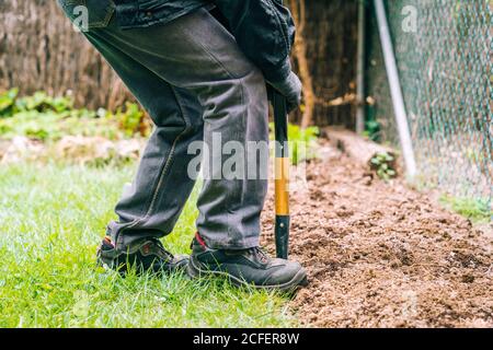 Unerkennbarer Bauer gräbt Boden mit Schaufel im Garten Stockfoto