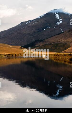 Malerische Landschaft mit Kühen grasen auf grünem Gras in der Nähe Ruhiger Fluss gegen Berg in sonnigen Frühlingstag in schottischen Highlands Stockfoto