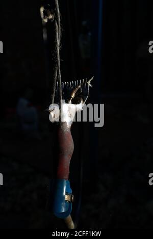 Professionelle Schafe scheren Rasiermesser hängen an Seil in dunklen Scheune Auf dem Bauernhof Stockfoto