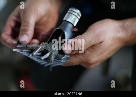 Anonymer Mann Fixierung schmutzige Schermesser während der Arbeit in Scheune Auf dem Bauernhof Stockfoto