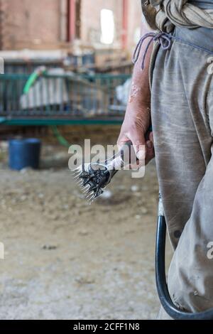 Professionelle Schafe scheren Rasiermesser hängen an Seil in dunklen Scheune Auf dem Bauernhof Stockfoto