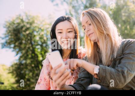 Junge kaukasische Frau, die einem lächelnden asiatischen Freund ein Smartphone zeigt, während sie am sonnigen Tag auf einem unscharfen Hintergrund im Park sitzt Stockfoto