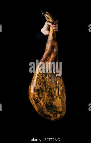 Crop unkenntlich Person Hand hält einen ganzen trockenen Schinken Bein auf schwarzem Hintergrund Stockfoto