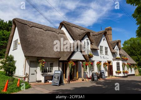 The Red Lion Gastropub in Grantchester, einem malerischen Dorf am Fluss Cam, Cambridgeshire, Großbritannien. Stockfoto