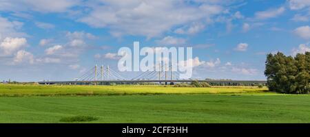 Hängebrücke Tacitusbrug über den Waal bei Ewijk in der Nähe von Nijmegen, Gelderland in den Niederlanden Stockfoto