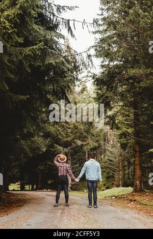 Rückansicht eines jungen Paares von Reisenden, die sich die Hände halten Wandern auf schmaler Straße zwischen Wald mit hohen Fichten Während der Ferien in Schottland Stockfoto