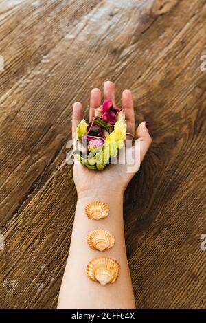 Von oben der Ernte Hand der Frau hält vegetarische Regenbogen Salat wickeln mit Muscheln am Handgelenk über Holztisch Stockfoto